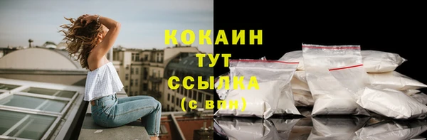 прущая мука Богородицк
