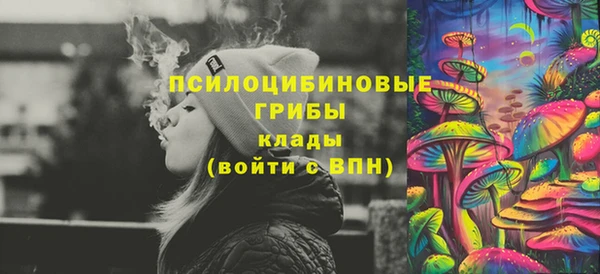 прущая мука Богородицк