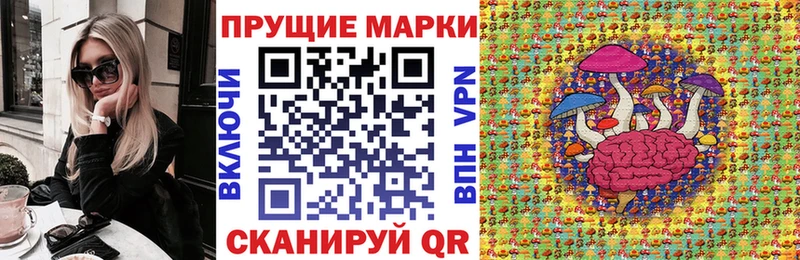 Марки N-bome 1,5мг  купить наркотики сайты  darknet состав  Городовиковск 