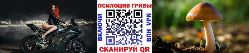 кракен рабочий сайт  Городовиковск  Псилоцибиновые грибы Cubensis  где продают  